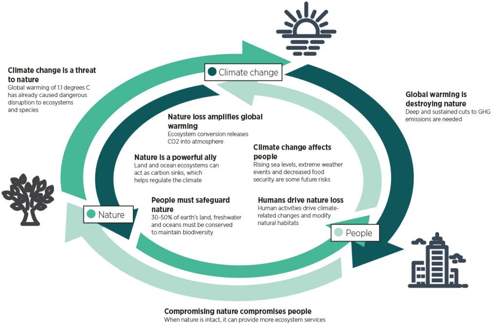 Interactions between climate change, nature and people