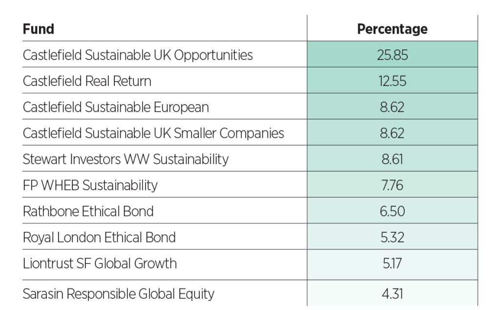 Castlefield top 10 holdings medium risk growth ethical model portfolio example