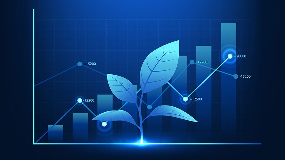 Financial technology In front of the graph is a tree that shows the growth of the company, like a tree that gradually grows as a business expands around the world.