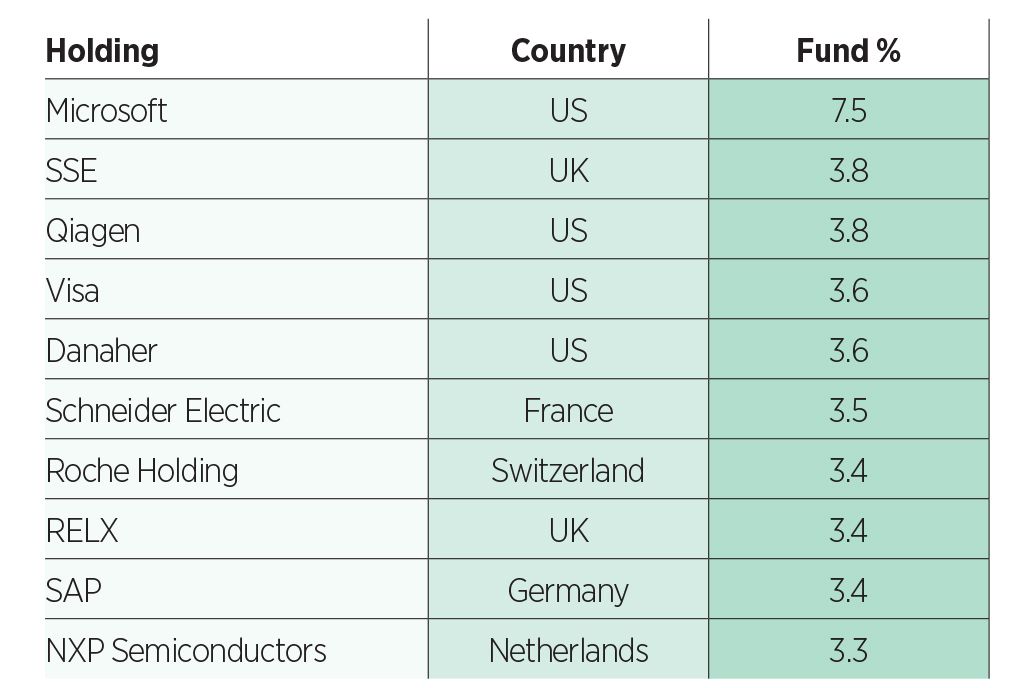 Aviva Investors' Social Transition fund top 10 holdings