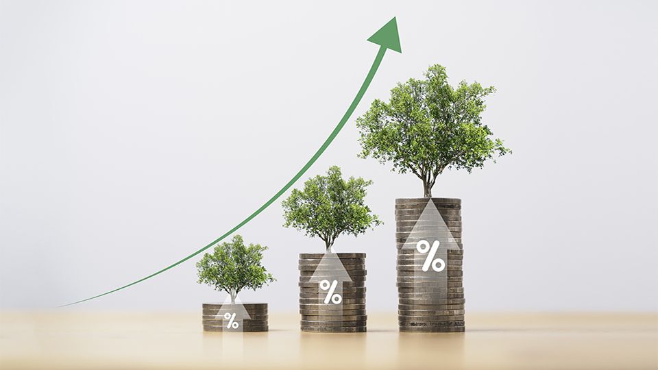 Trees growing on increasing coins stacking with up arrow for money saving and deposit growth from investment profit , Financial banking concept.